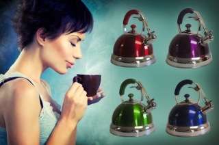Funky Coloured Energy Saving Whistling Kettle