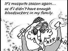 Electronic Fly / Mosquito Swatter. It really works !!!