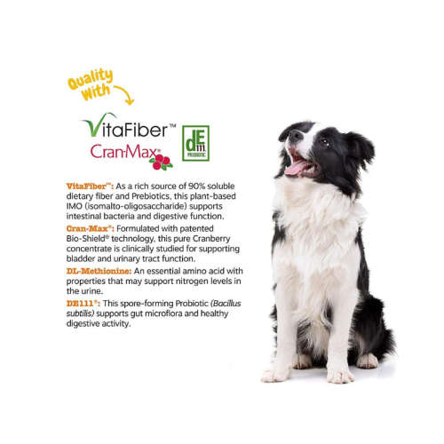 Zesty Paws Stay Green Bites for Dogs  Grass Burn Soft Chews for Lawn Spots Caused by Dog Urine