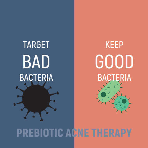 Acne.org.za Protocol - 3 step Kit - Cleanse, Treat and Moisturise - 50ml