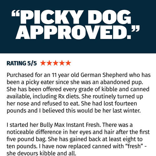 Bullymax instant fresh raw dog food with chicken and vegetables