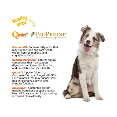 Zesty paws - Turmeric bites for immune, cognitive, digestive and joint health