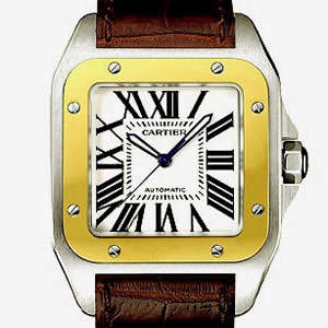 Carier Watch, Santos 100