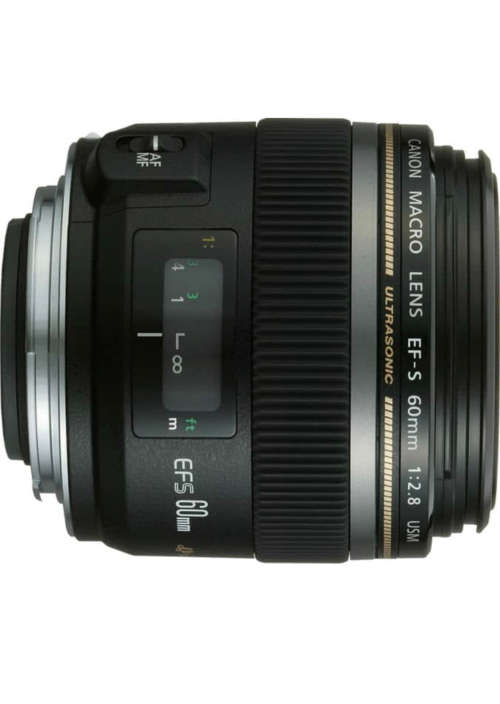 Canon 60mm f/2.8mm Lens (Excellent condition)