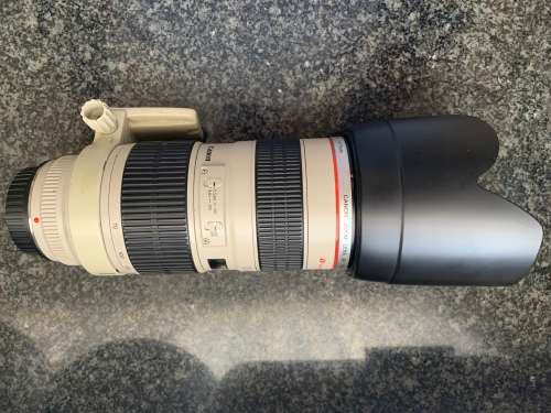 Canon 70-200mm f/2.8 Lens (Immaculate Condition)