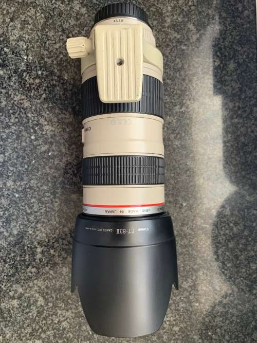 Canon 70-200mm f/2.8 Lens (Immaculate Condition)