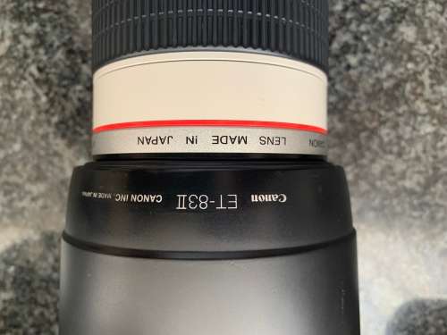 Canon 70-200mm f/2.8 Lens (Immaculate Condition)