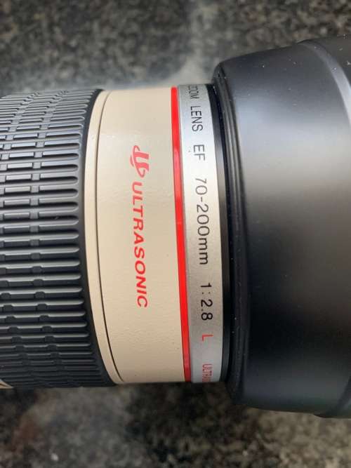 Canon 70-200mm f/2.8 Lens (Immaculate Condition)