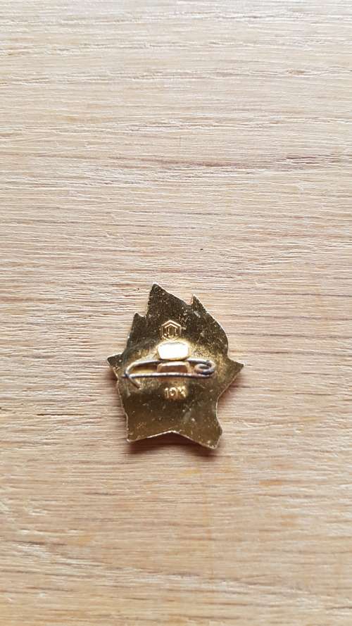 USSR CCCP SOVIET RUSSIAN COMMUNIST PIONEER LENIN - PIN BADGE - NEW LENA