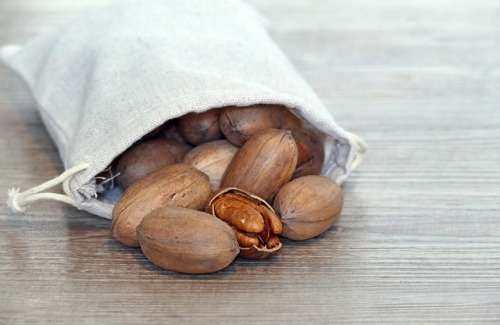 PRICE SLASH!  Pecan Nuts with Shell - Farm Fresh - FREE DELIVERY!