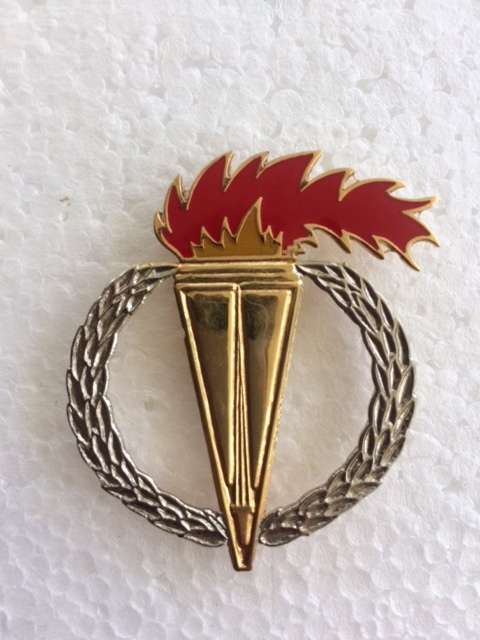 Recce/ Parabat Metal Pathfinder Badge (Prototype?)