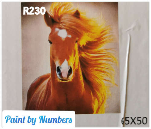 DIY Adult Paint by Numbers