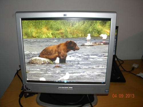 HP L1730 LCD Monitor