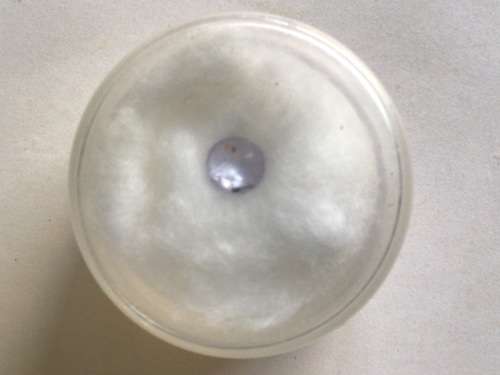 TANZANITE NATURAL ROUND 0.61ct  PALE LILAC/BLUE.