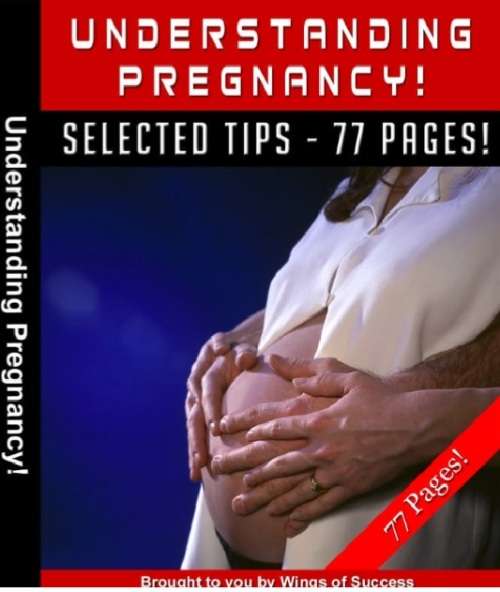 Understanding Pregnancy (eBook) + FREE BONUS EBOOK
