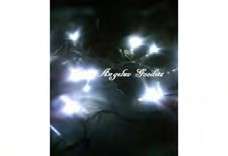 Battery operated LED fairy lights (2m) - snow white