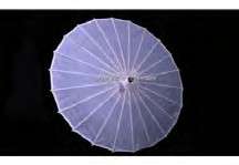 Parasols Wedding Umbrellas - Large 80cm - Plain white