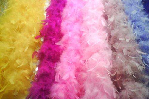 Feather Boa's