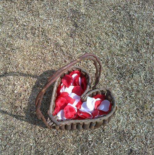 Wedding Decorations - Twig art - Flowergirl basket