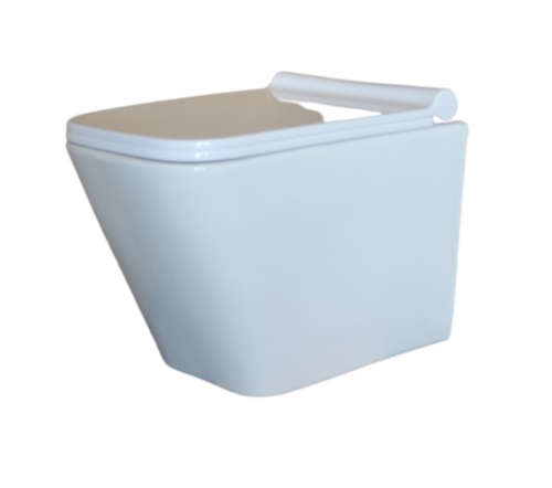 Venus Wall hung toilet