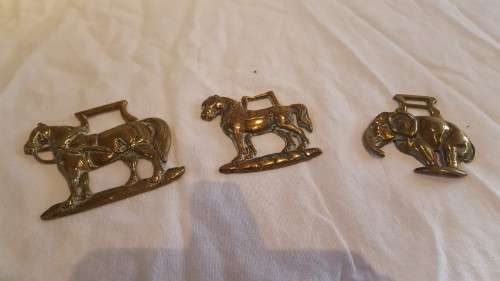 AMAZING!!! Brass Horse Racing Rosettes