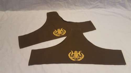 WOW!!! Pair of RSM Rank Flashes