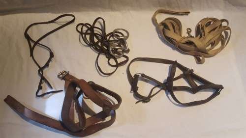 SPLENDID!!! Boer War Horse Equipment