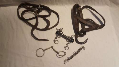 LOVELY!!! Boer War Horse Riding Gear