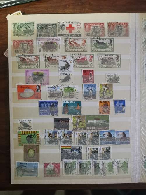 Good assortment of SWA, Union and RSA in Album!