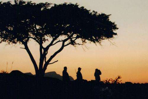 4 Day Guided Bushveld Hunt