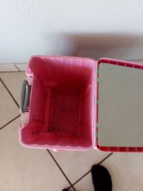Cadii School Bag Case x 2 (R500 for Both)!!!