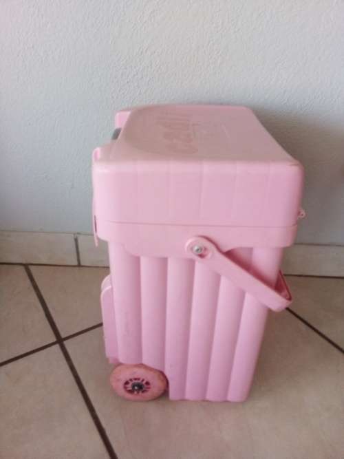 Cadii School Bag Case x 2 (R500 for Both)!!!