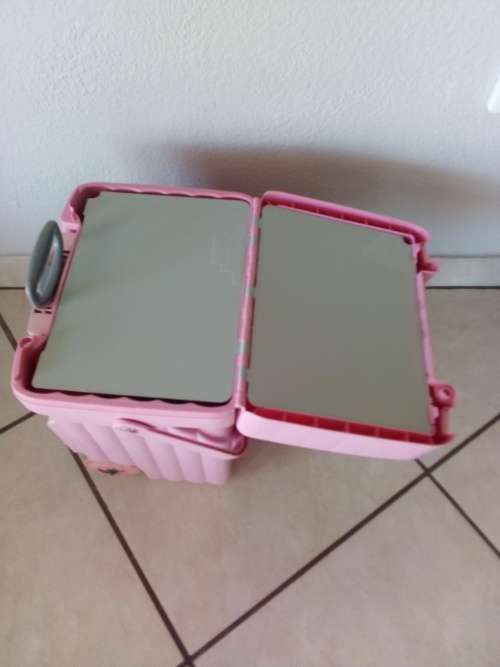 Cadii School Bag Case x 2 (R500 for Both)!!!