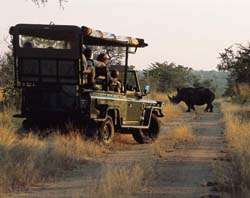 Marloth Park Holiday (In or out of season)