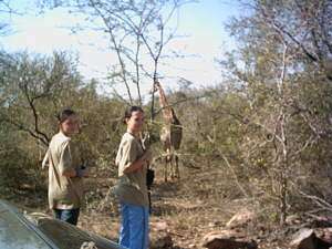 6 Nights Marloth Park Holiday