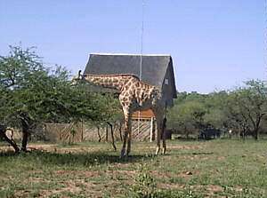 3 Holidays in ONE Marloth Park