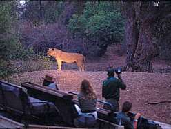 Marloth Park Holiday (In or out of season)
