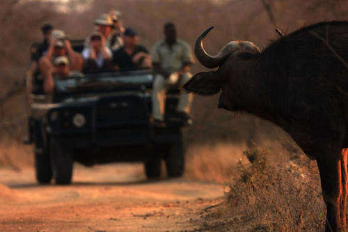 Marloth Park Holiday (In or out of season)