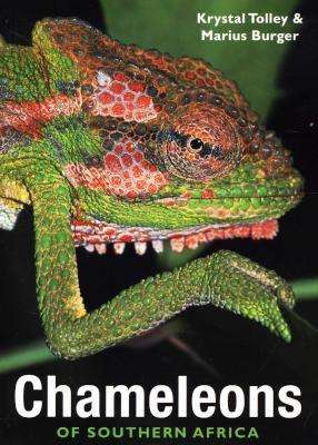 Chameleons of Southern Africa ~ Krystal Tolley & Marius Burger