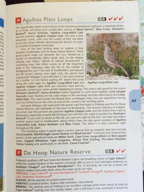 The Southern African Birdfinder: Where to Find 1,400 Bird Species in Southern Africa and Madagascar