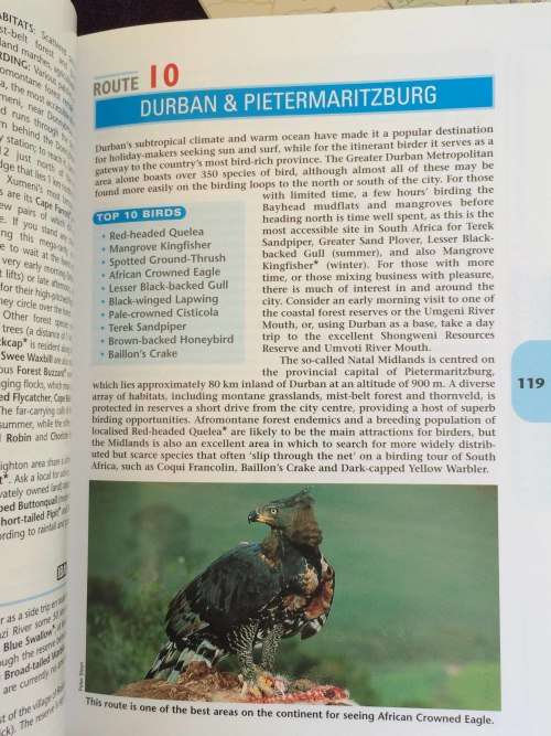 The Southern African Birdfinder: Where to Find 1,400 Bird Species in Southern Africa and Madagascar