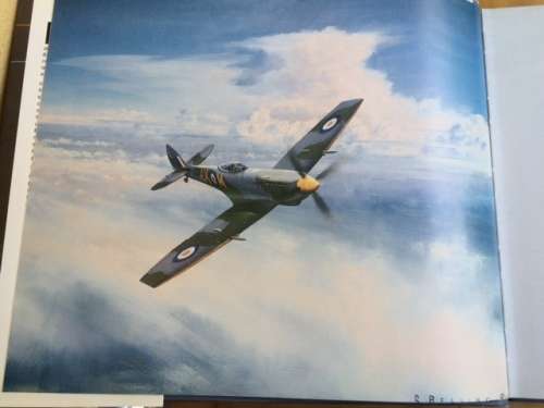 A Portrait of Military Aviation in South Africa by Ron Belling