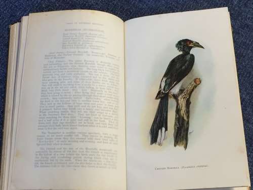 A Guide to the Birds of Southern Rhodesia and a Record of Their Nesting Habits by Cecil D. Priest