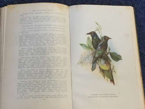 A Guide to the Birds of Southern Rhodesia and a Record of Their Nesting Habits by Cecil D. Priest