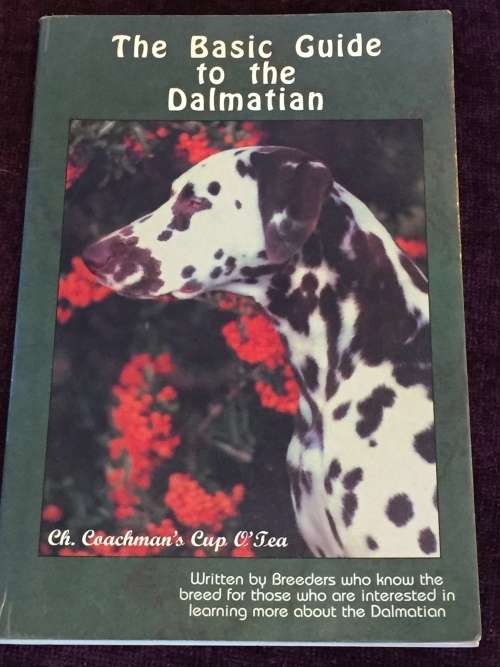 The Basic Guide to the Dalmation