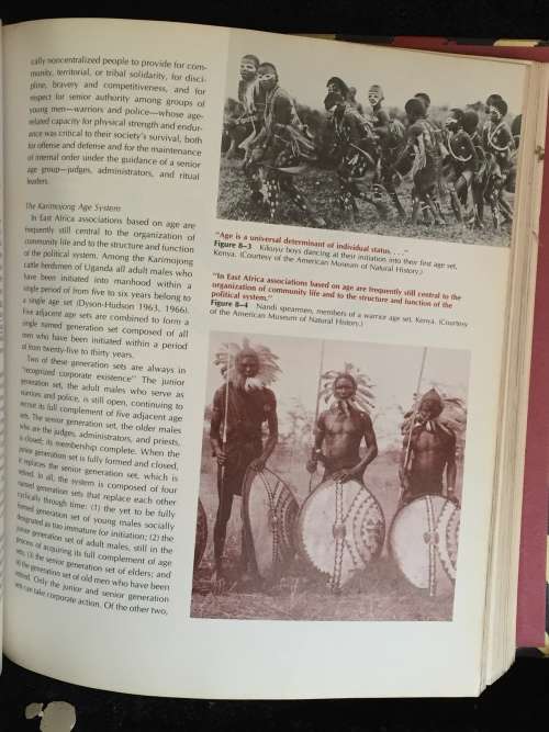 An Introduction to Cultural and Social Anthropology by Peter B. Hammond