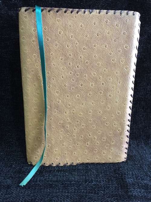 Leather Bible Cover and New International Version Disciple`s Study Bible