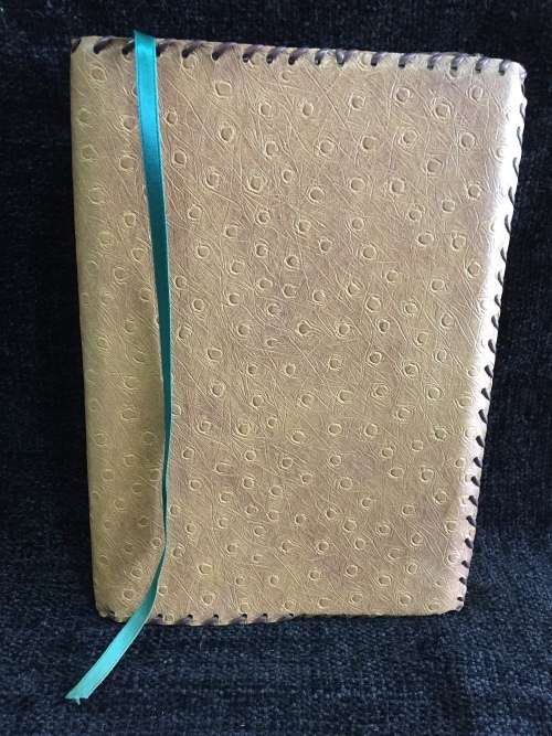 Leather Bible Cover and New International Version Disciple`s Study Bible