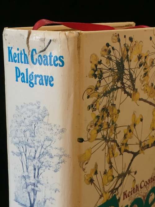 Trees of Southern Africa by Keith Coates Palgrave