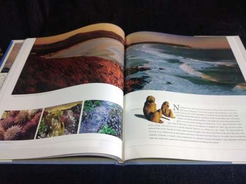 Portrait of Cape Town by Alain Proust